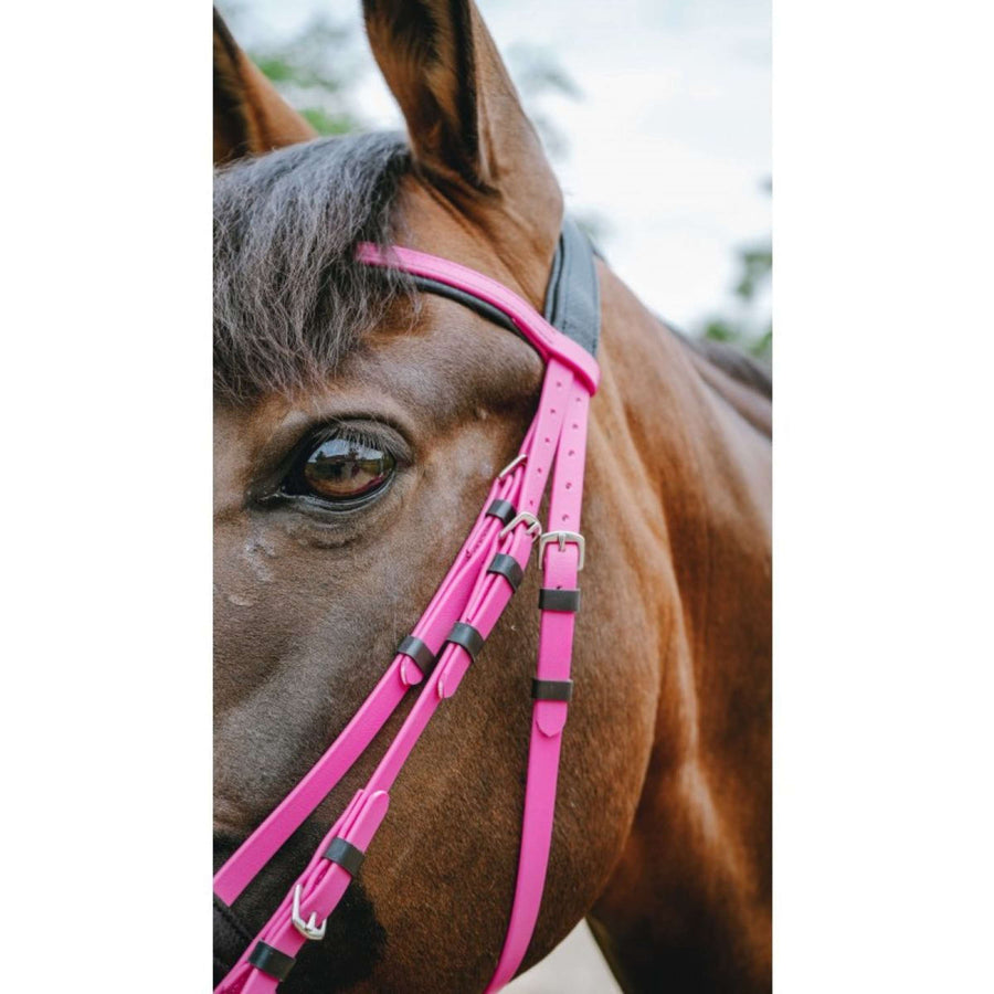Norton Bridle Endurance Pink