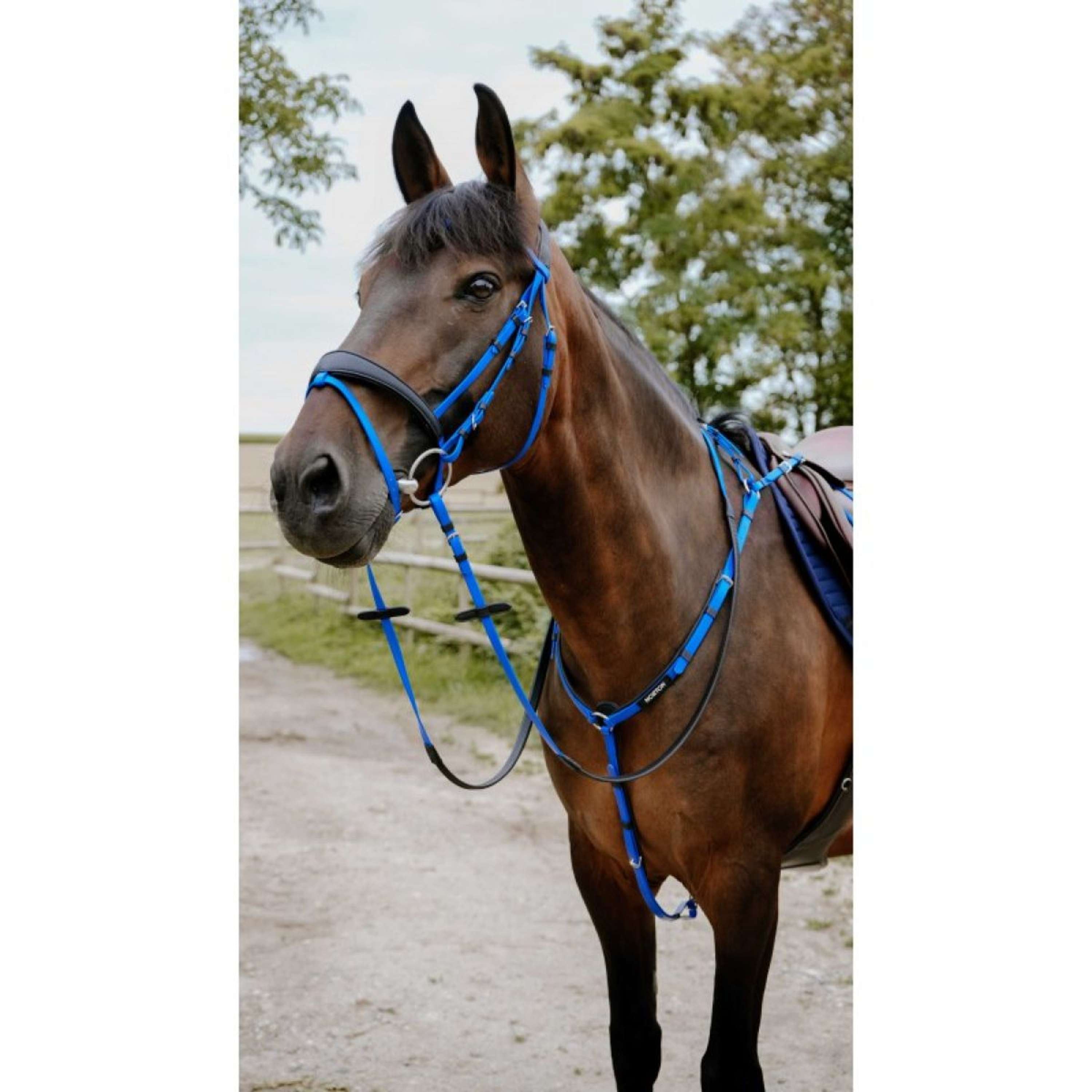 Norton Bridle Endurance Royal Blue