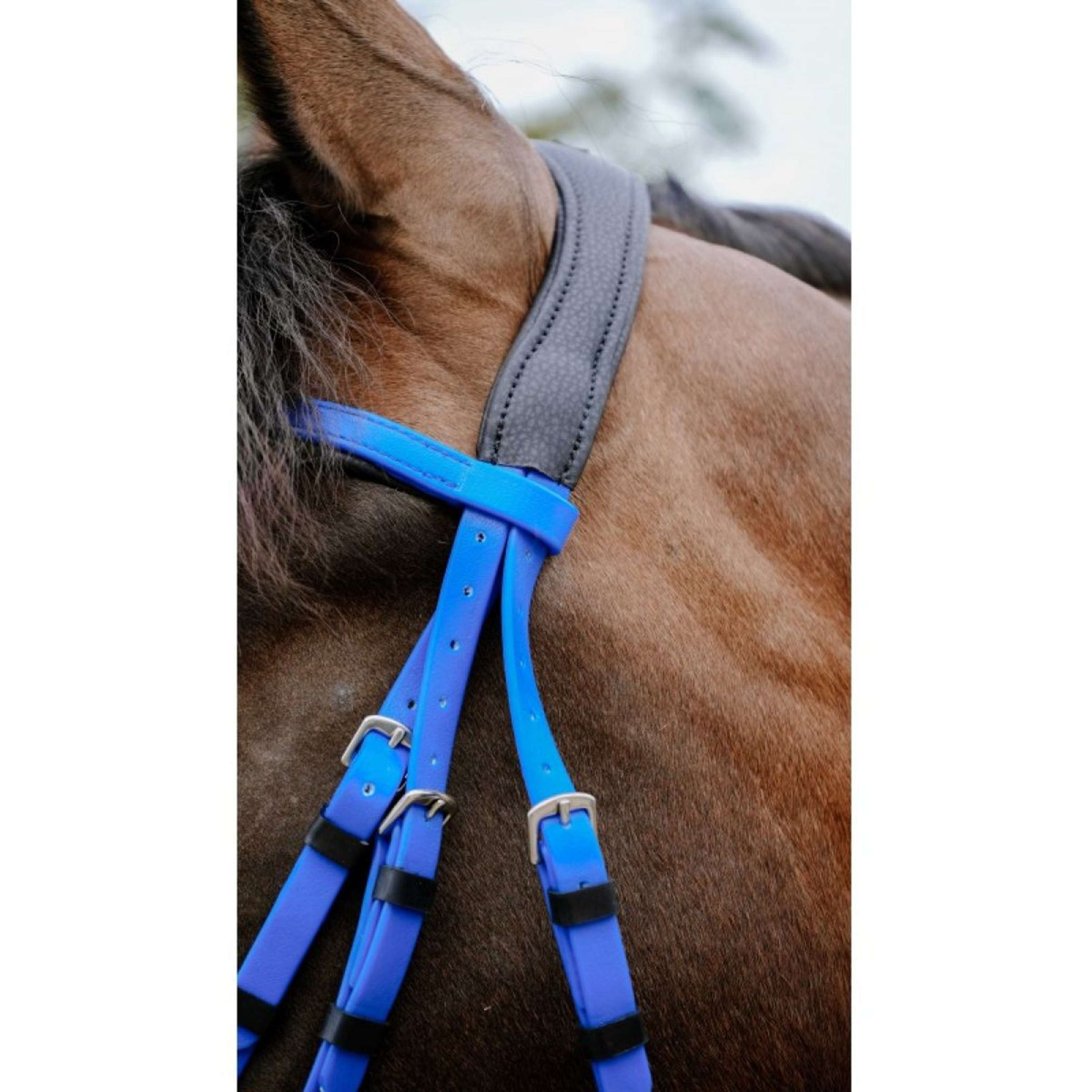 Norton Bridle Endurance Royal Blue