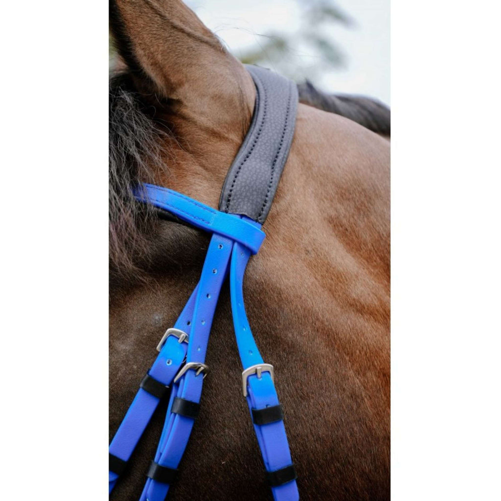 Norton Bridle Endurance Royal Blue