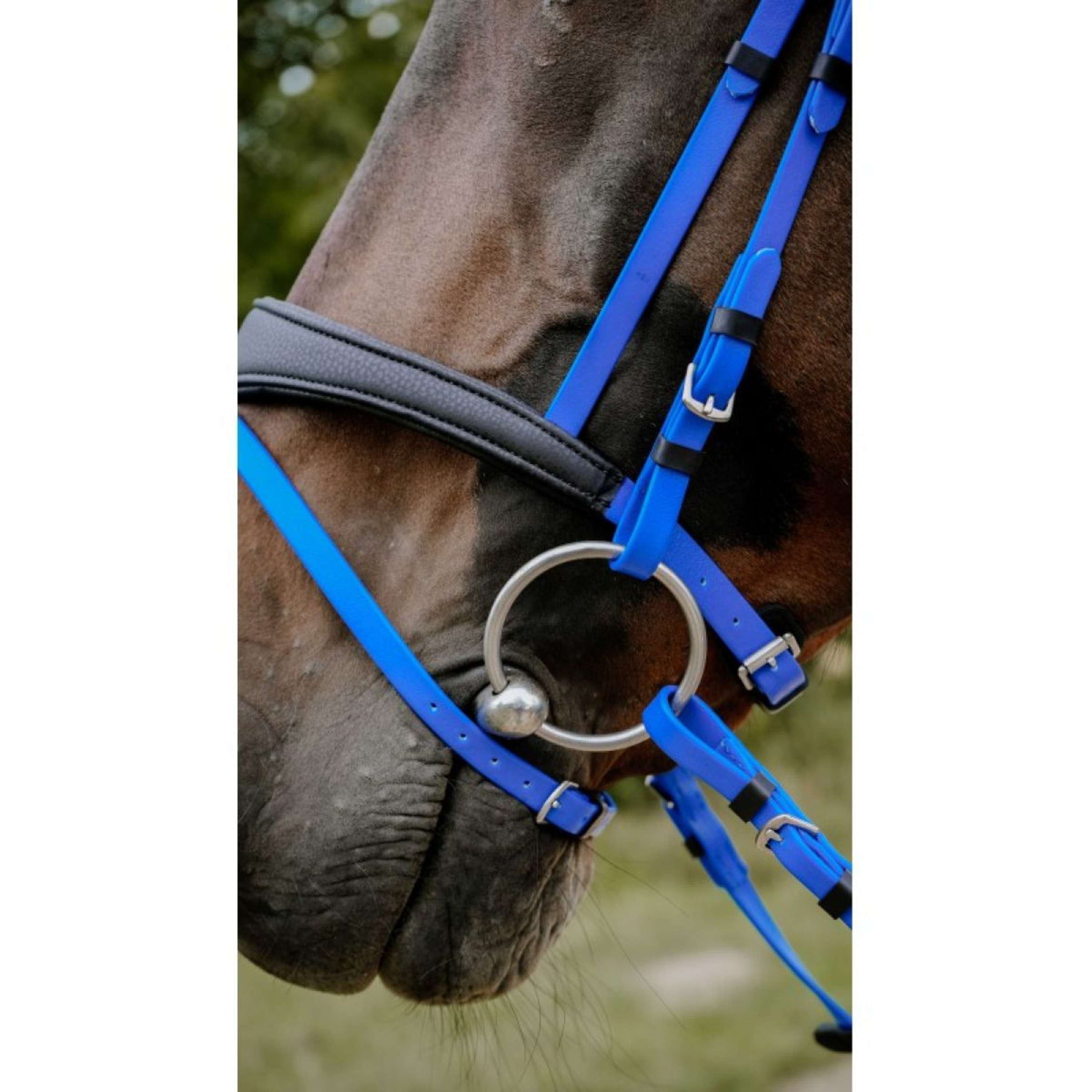 Norton Bridle Endurance Royal Blue
