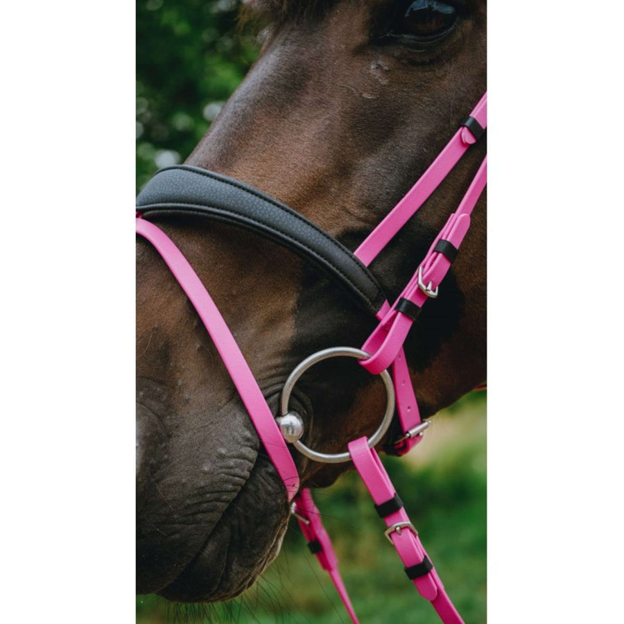 Norton Bridle Endurance Pink