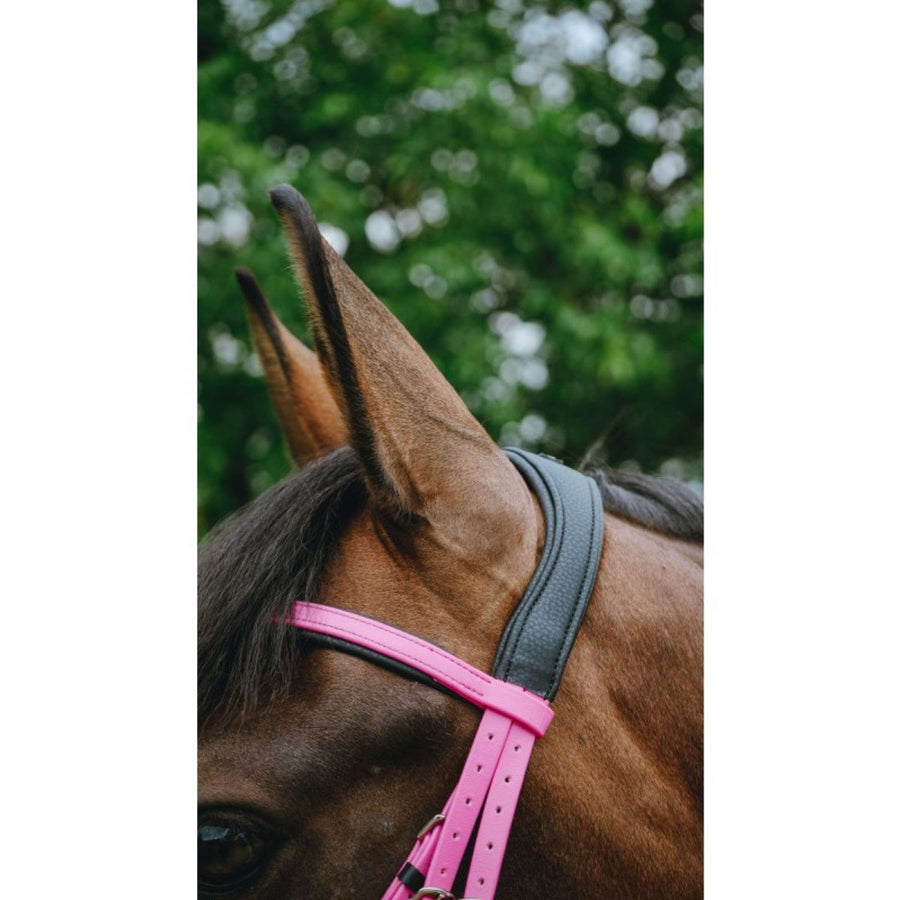 Norton Bridle Endurance Pink