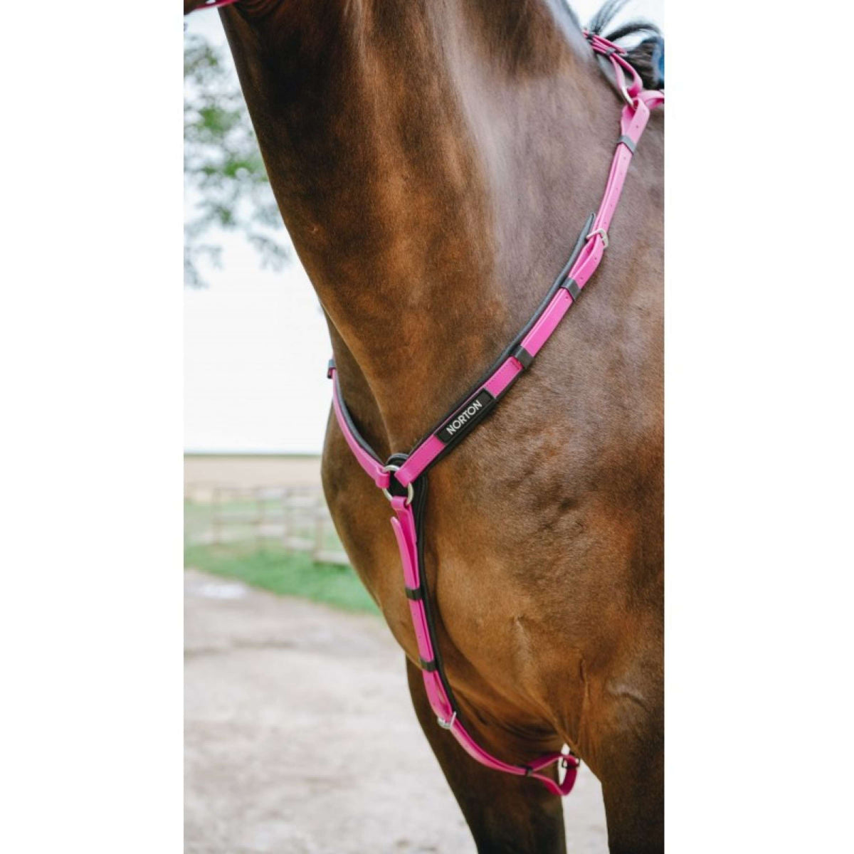 Norton Martingale Endurance Pink