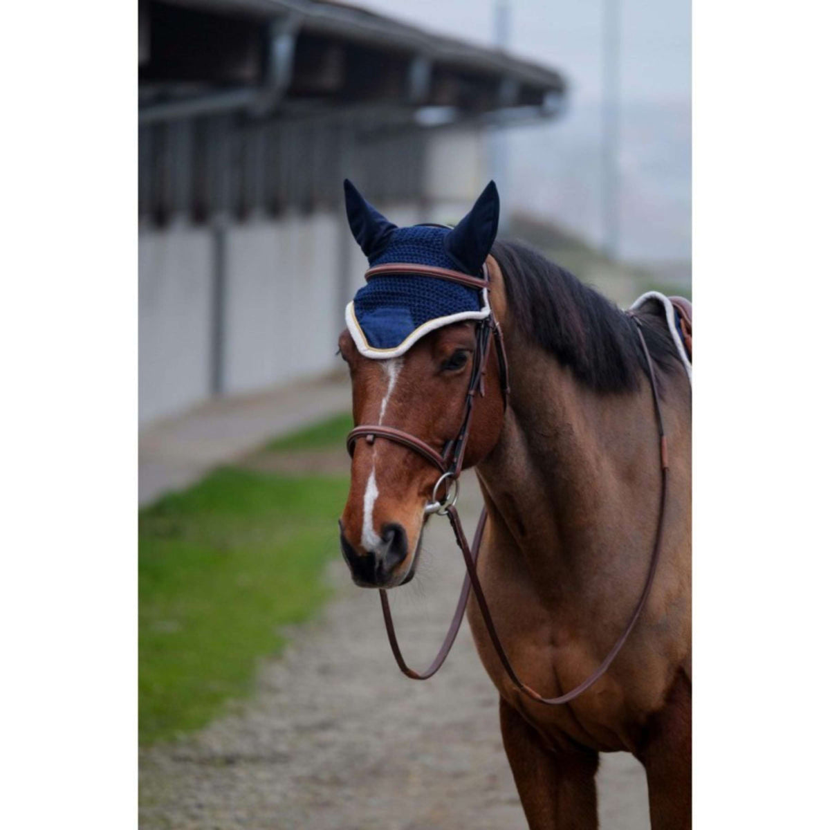 EQUITHÈME Ear Bonnet Denim Navy