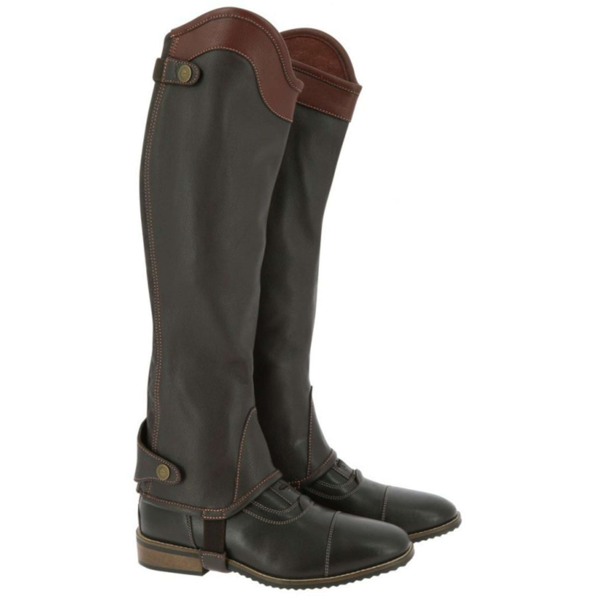 EQUITHÈME Chaps Elite Brown