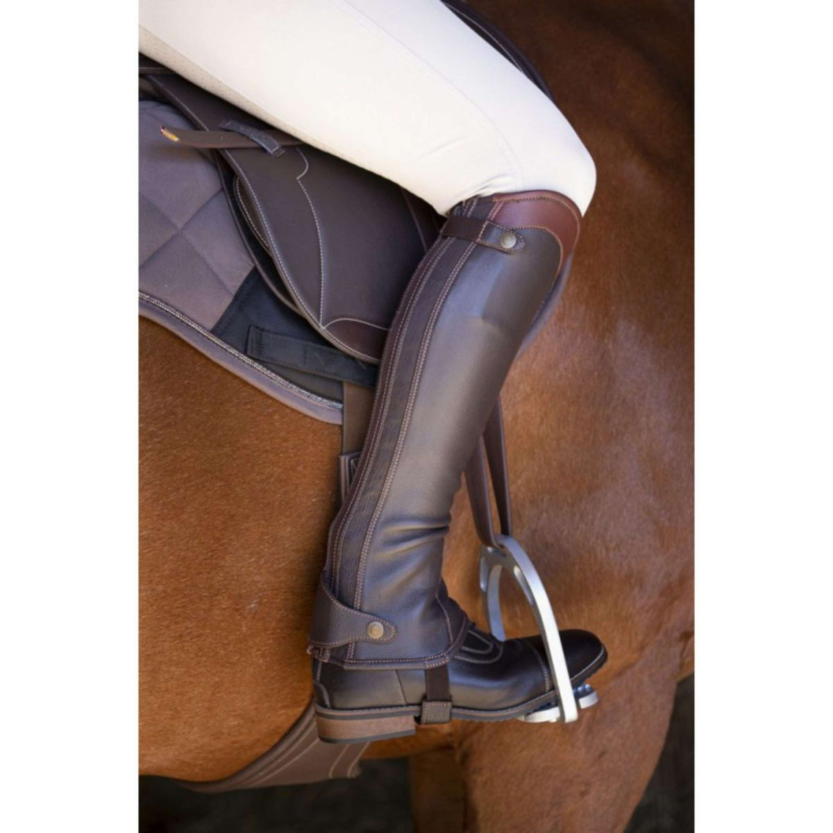 EQUITHÈME Chaps Elite Brown