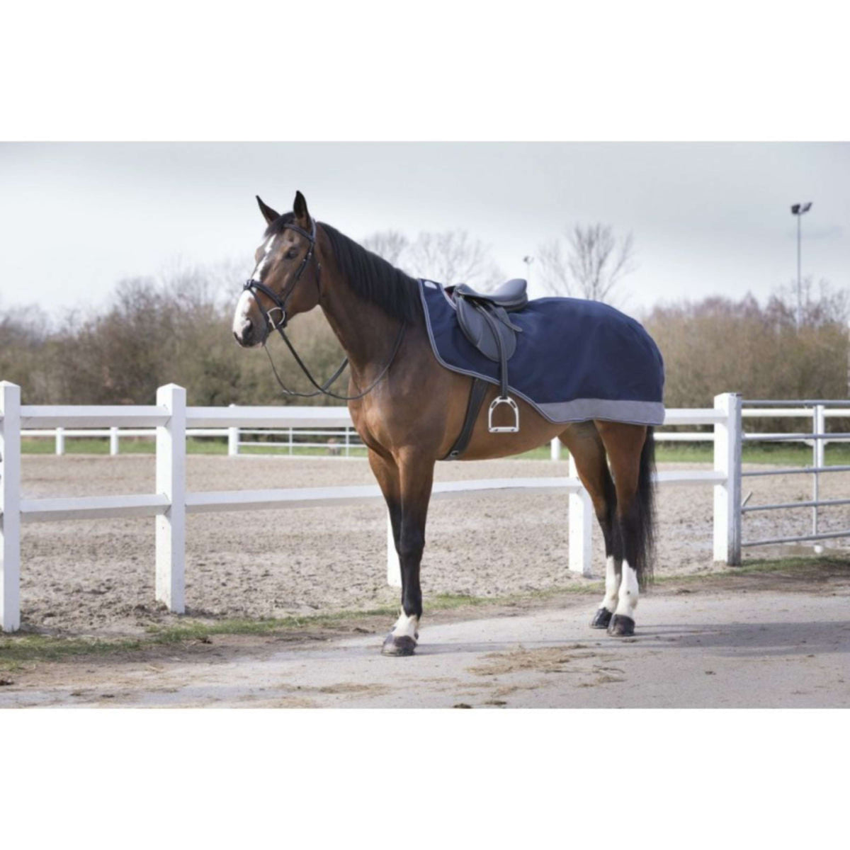 EQUITHÈME Exercise Rug Tyrex Polar Fleece 600D Navy/Grey Dots