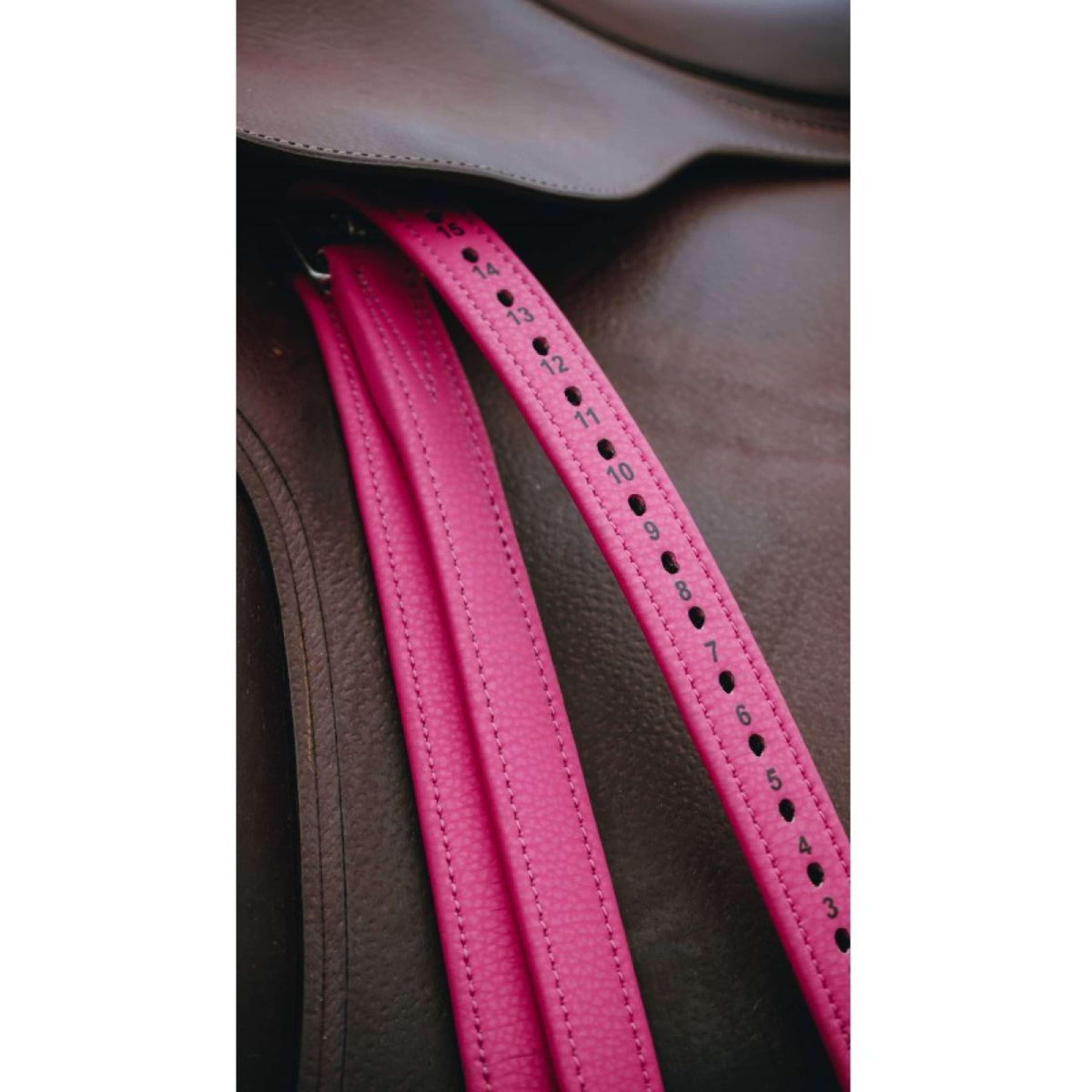 Norton Stirrup Straps Pink