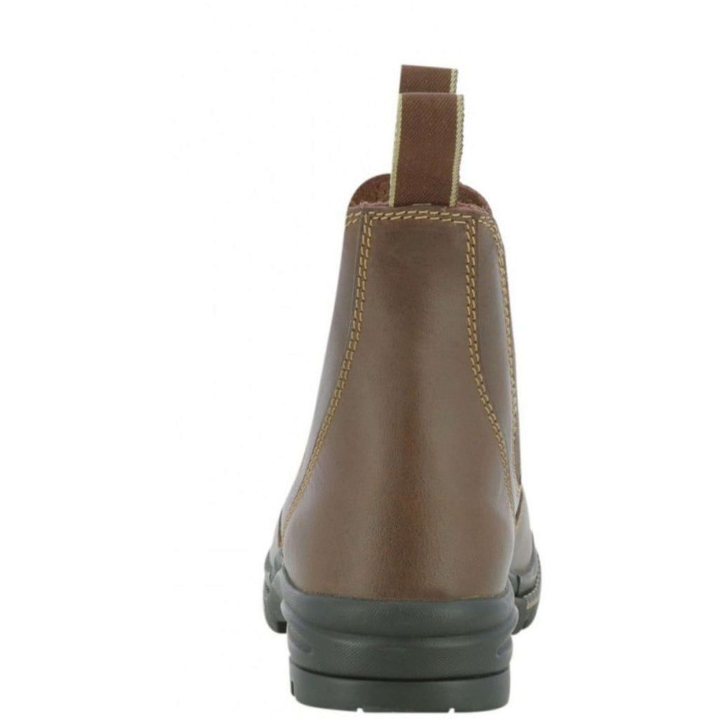 Norton Jodphurs Secu Safety shoe Brown