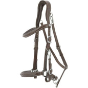 Norton Bridle Trekking Havana