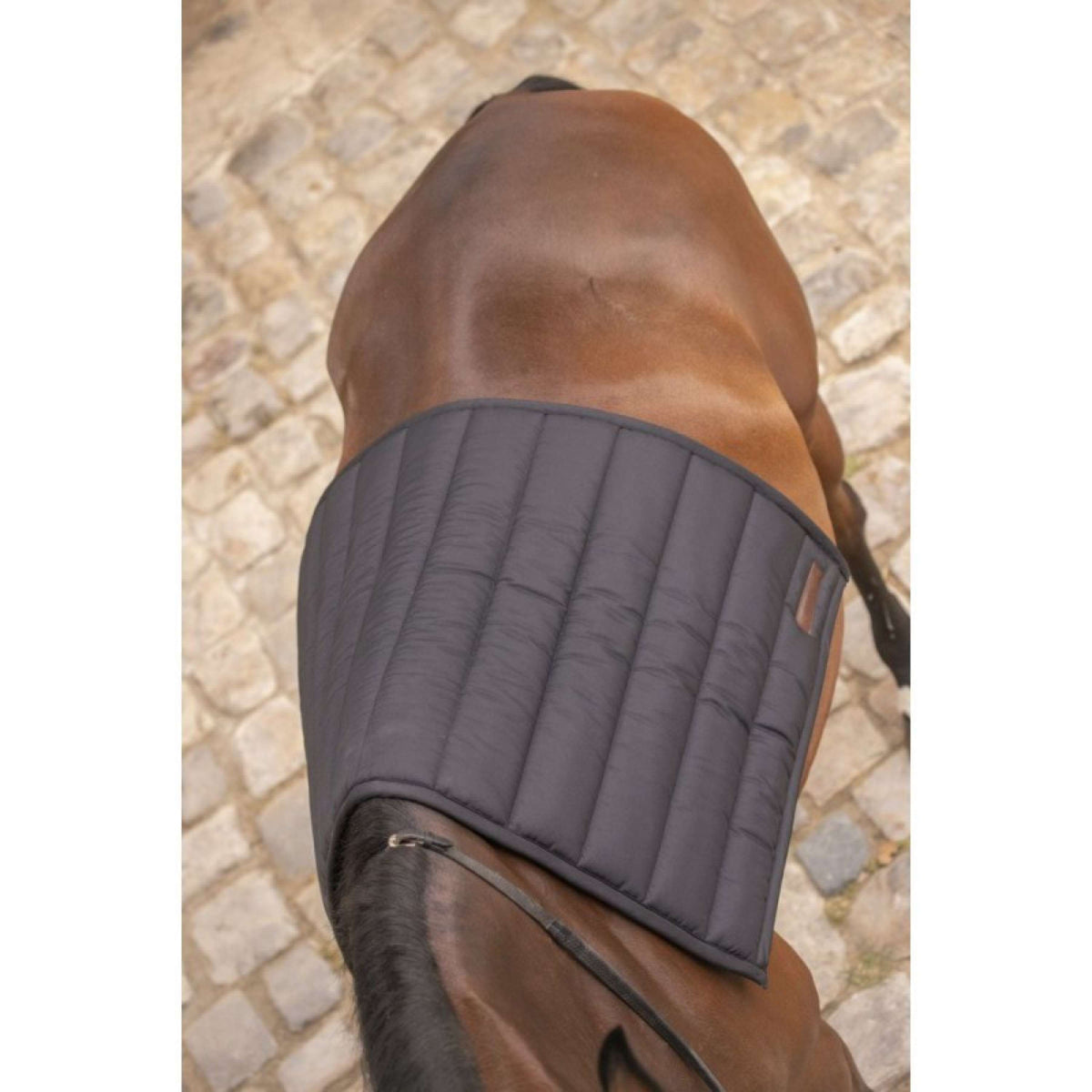 Paddock Saddlepad Big Black