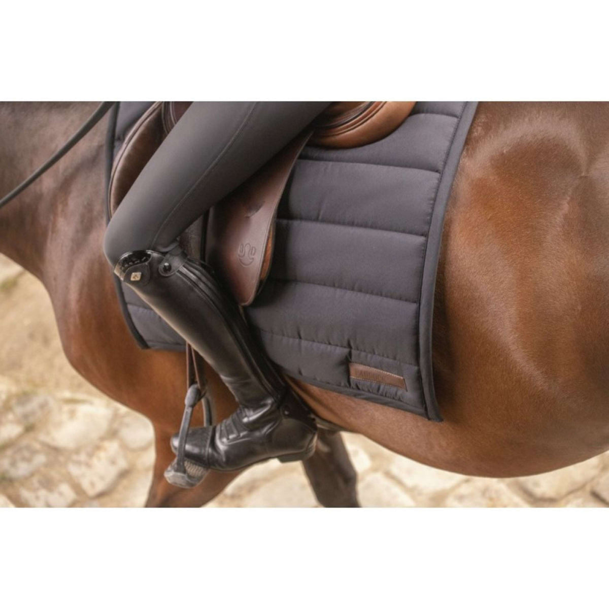 Paddock Saddlepad Big Black