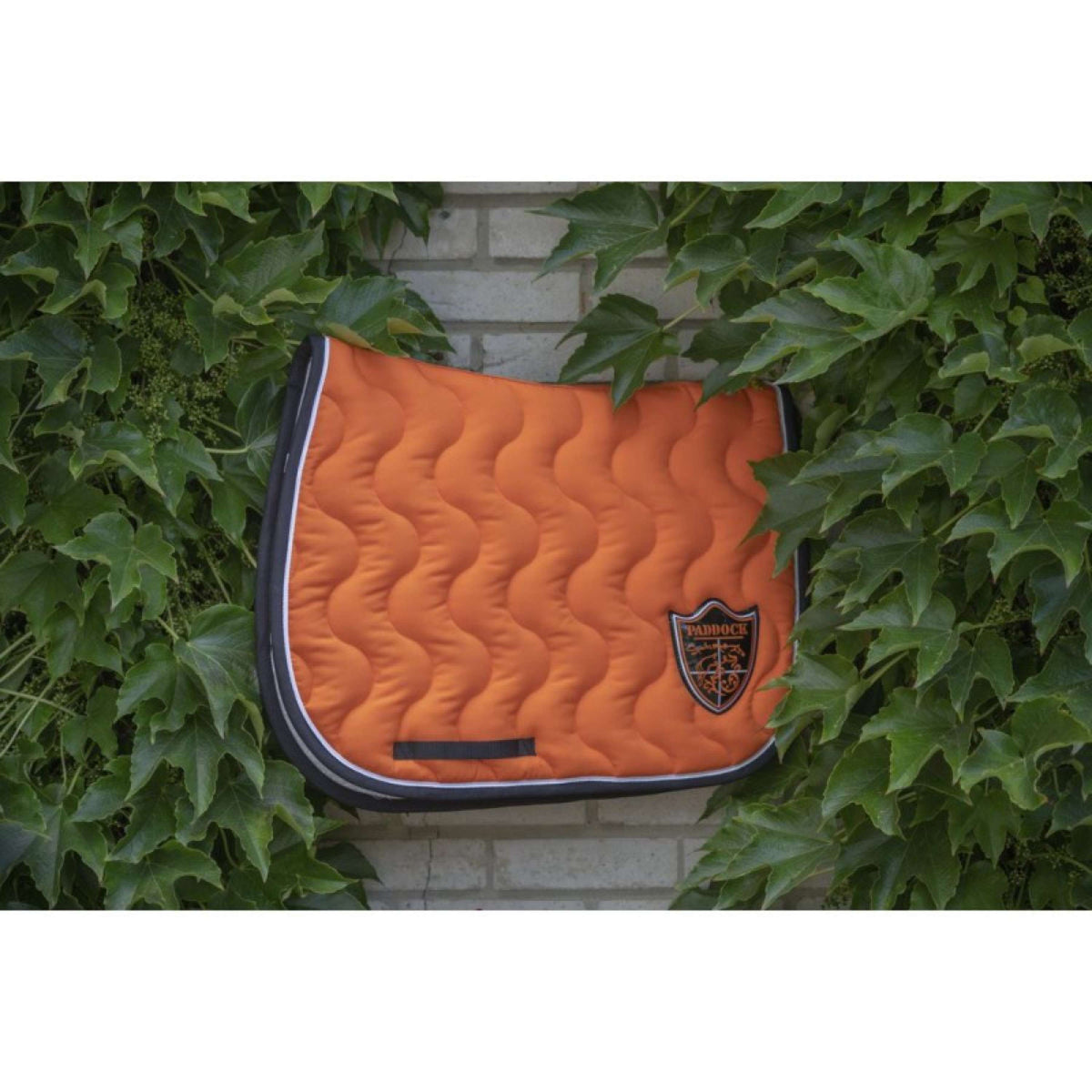 Paddock Saddlepad Ecu Jumping Orange