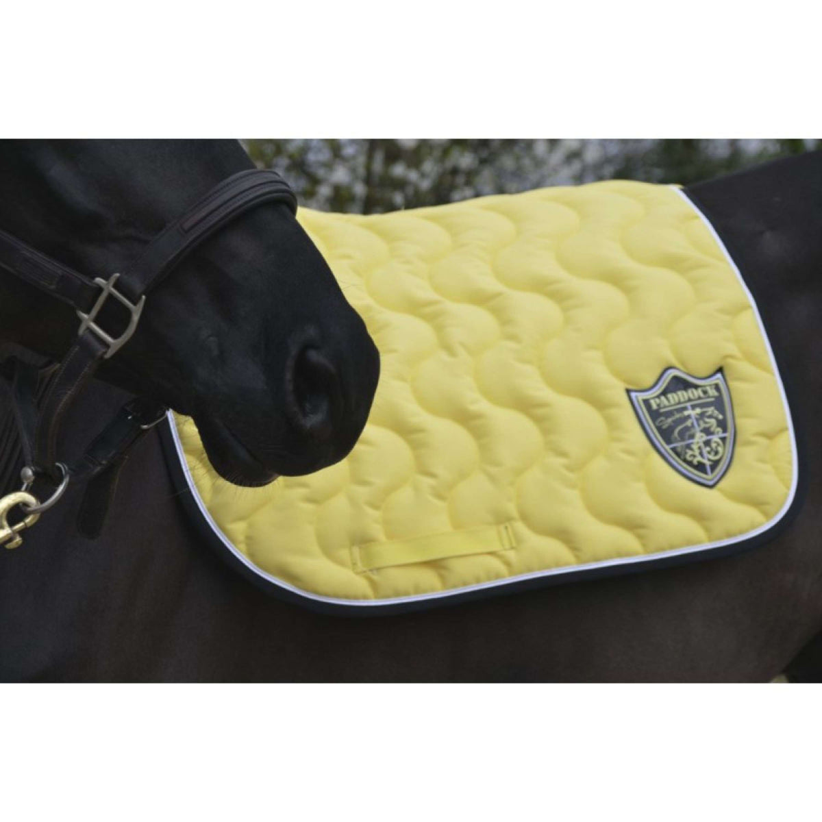 Paddock Saddlepad Ecu Jumping Yellow