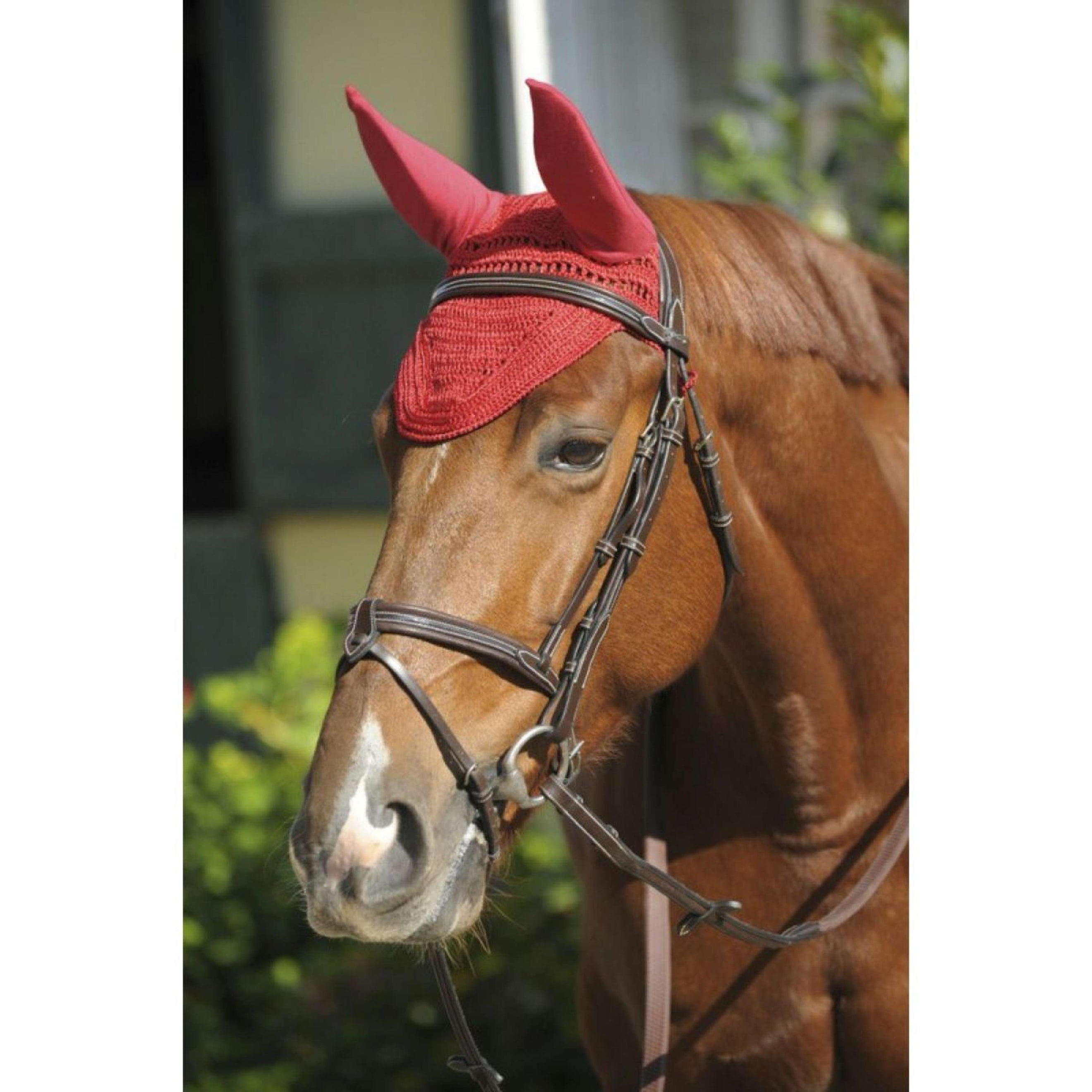 Paddock Ear Bonnet Prems Red