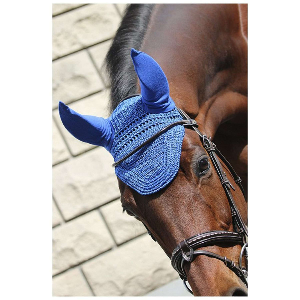 Paddock Ear Bonnet Prems Royal Blue