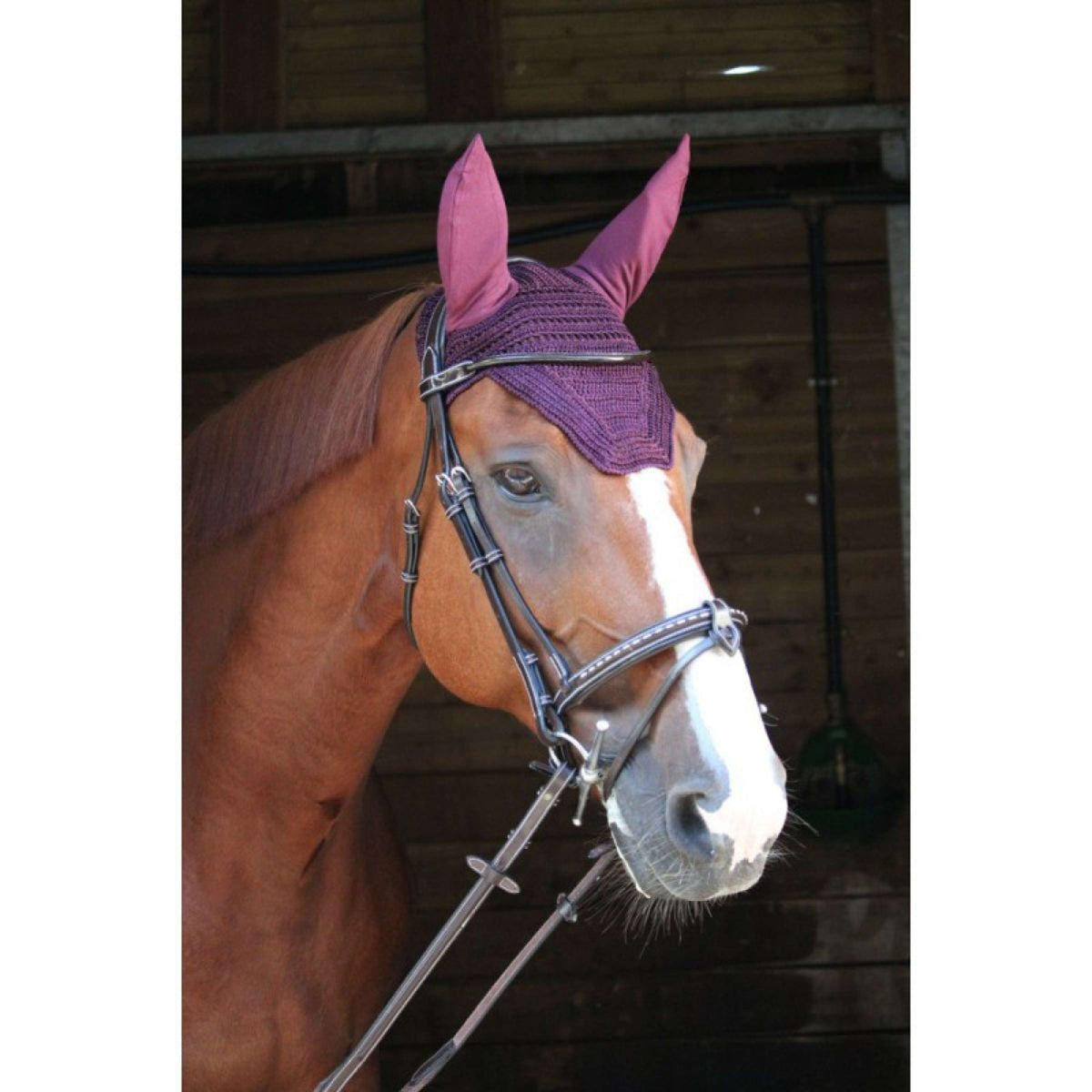 Paddock Ear Bonnet Prems Plum