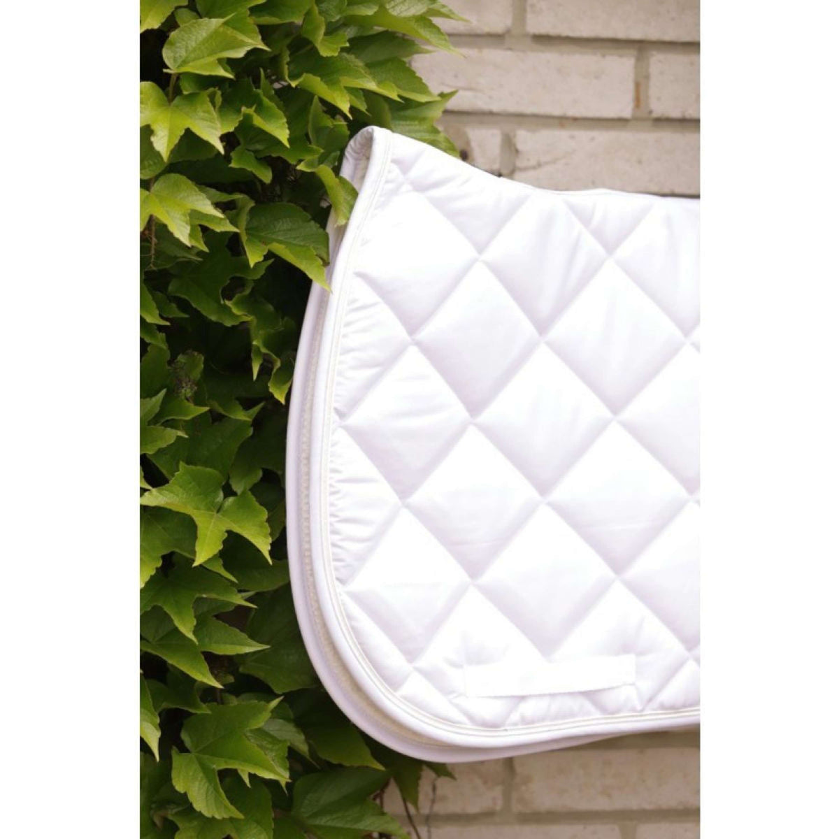 Paddock Saddlepad Prems Jumping White