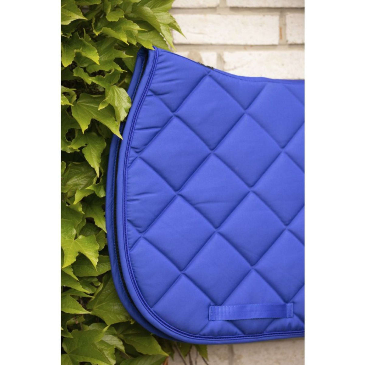 Paddock Saddlepad Prems Jumping Blue