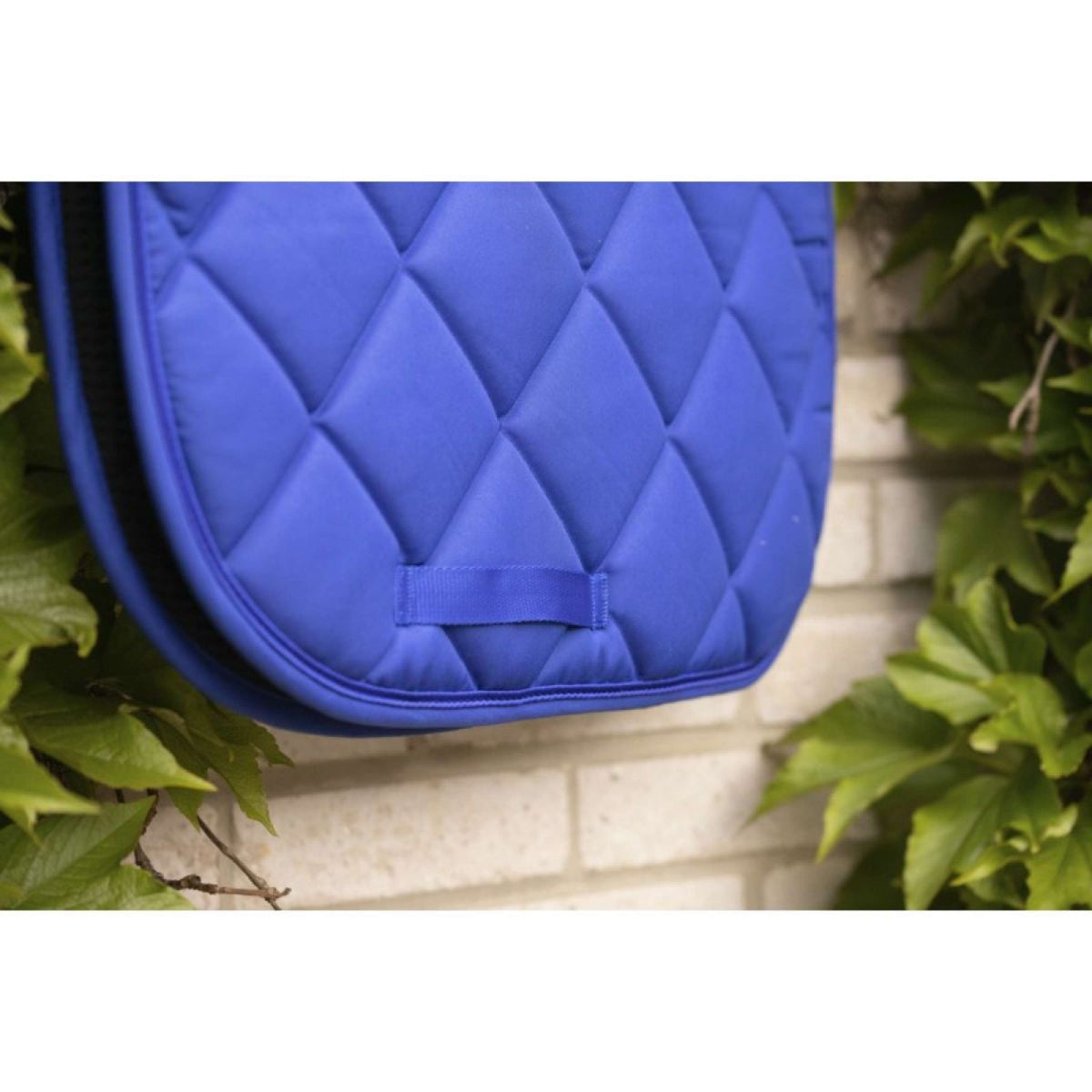 Paddock Saddlepad Prems Jumping Blue