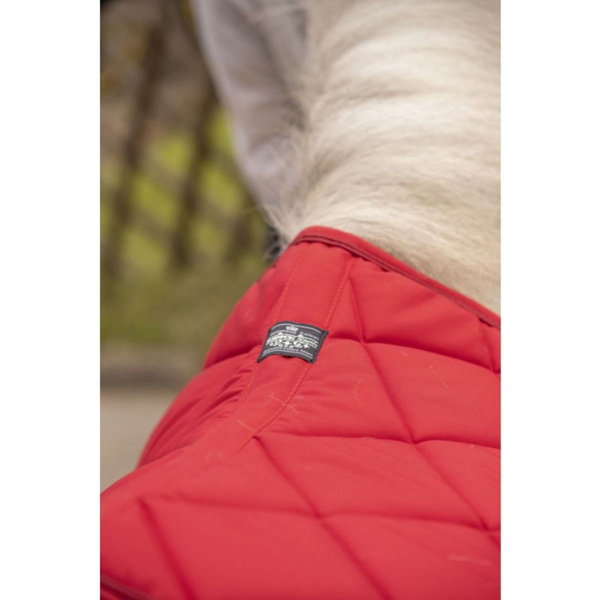 Paddock Saddlepad Prems Red