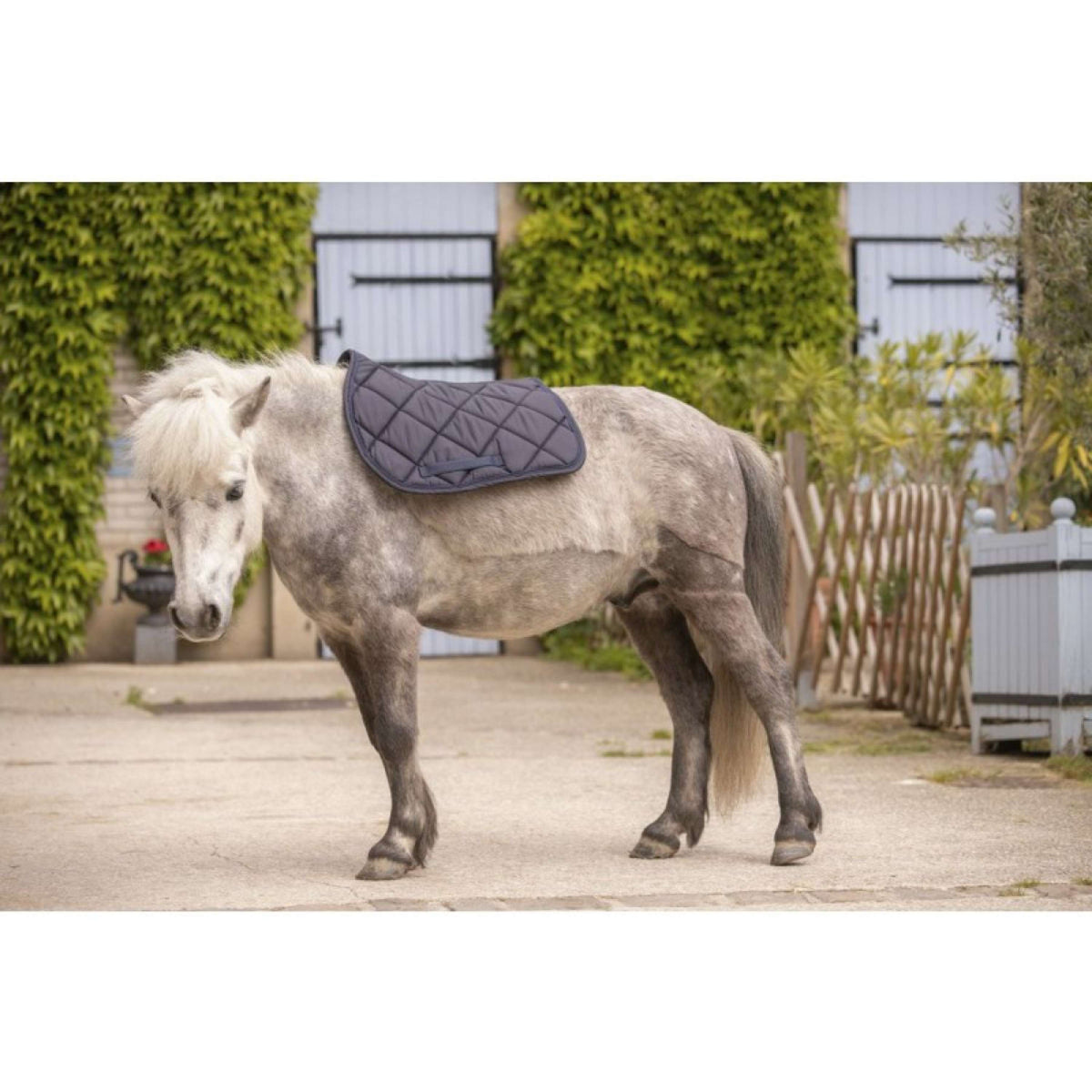 Paddock Saddlepad Prems Navy