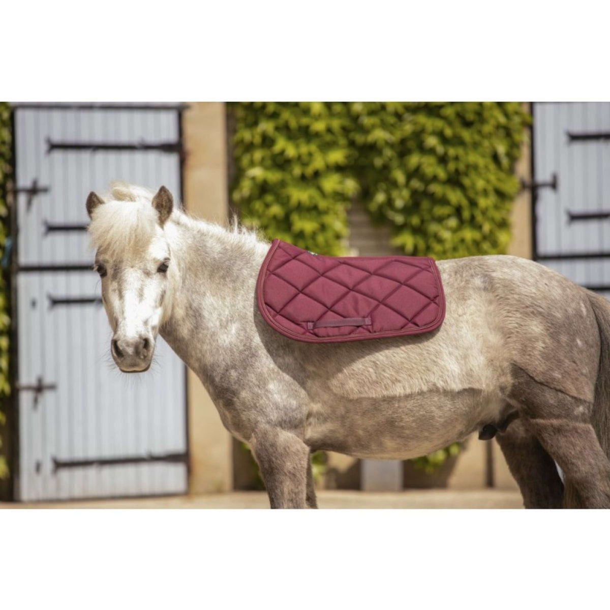 Paddock Saddlepad Prems