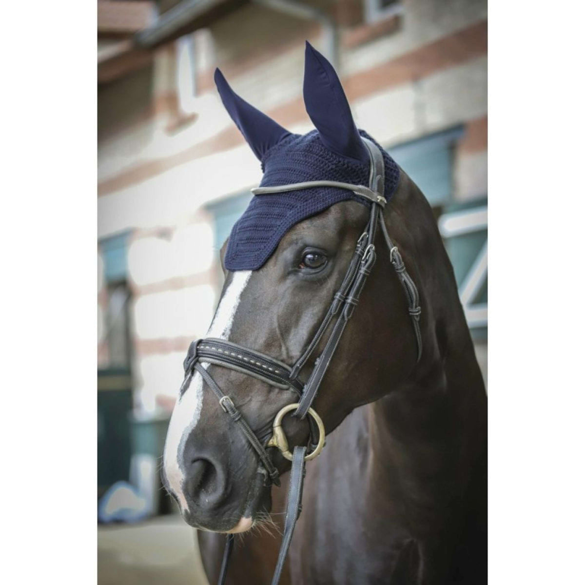 Paddock Ear Bonnet Pro Cotton Navy