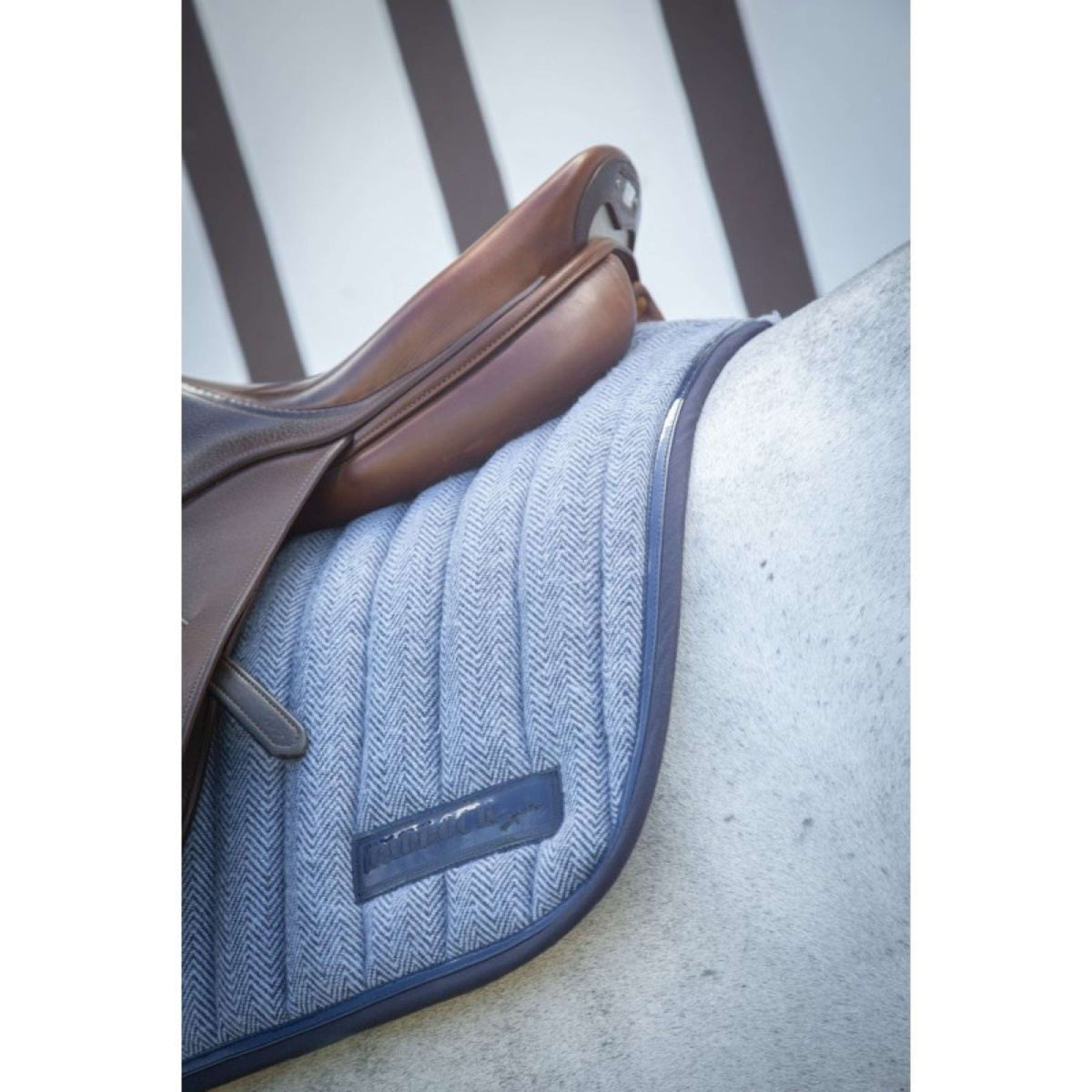 Paddock Saddlepad Wooltouch Jumping Blue