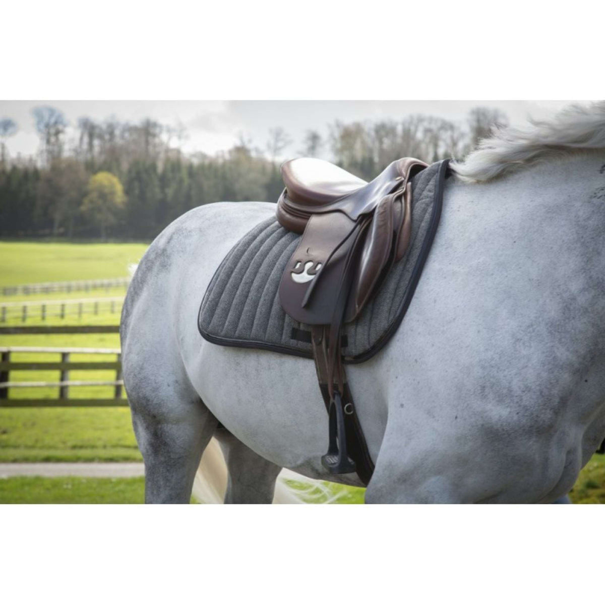 Paddock Saddlepad Wooltouch Jumping Grey