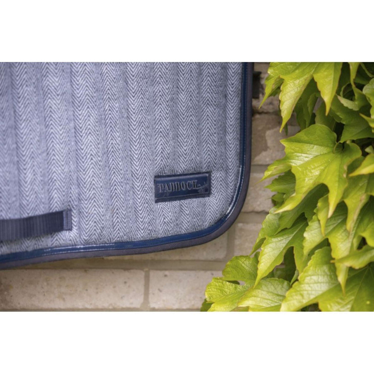 Paddock Saddlepad Wooltouch Jumping Blue