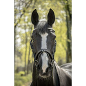 Pénélope Bridle Harmonie Black