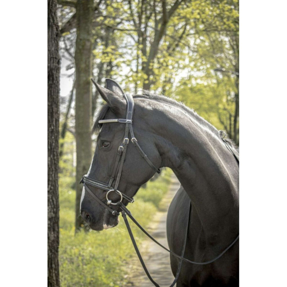 Pénélope Bridle Harmonie Black