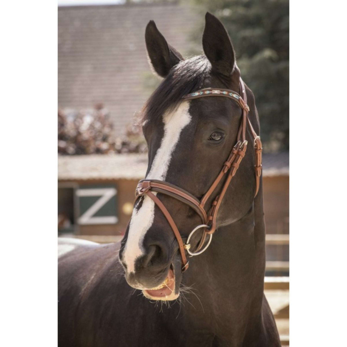 Pénélope Bridle Smoothie Pearl Cognac/Turquoise