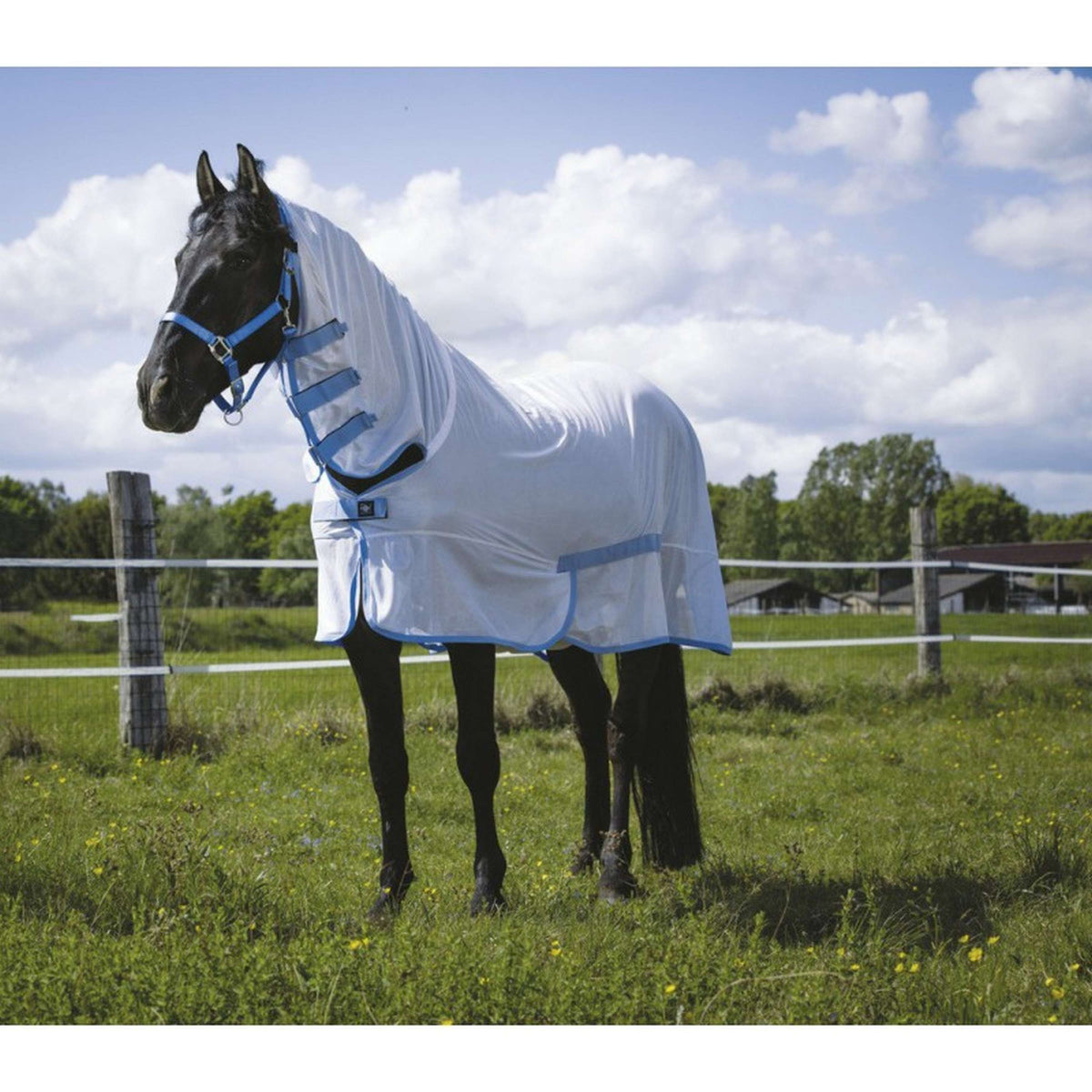 Riding World Fly Rug Combo White/Blue