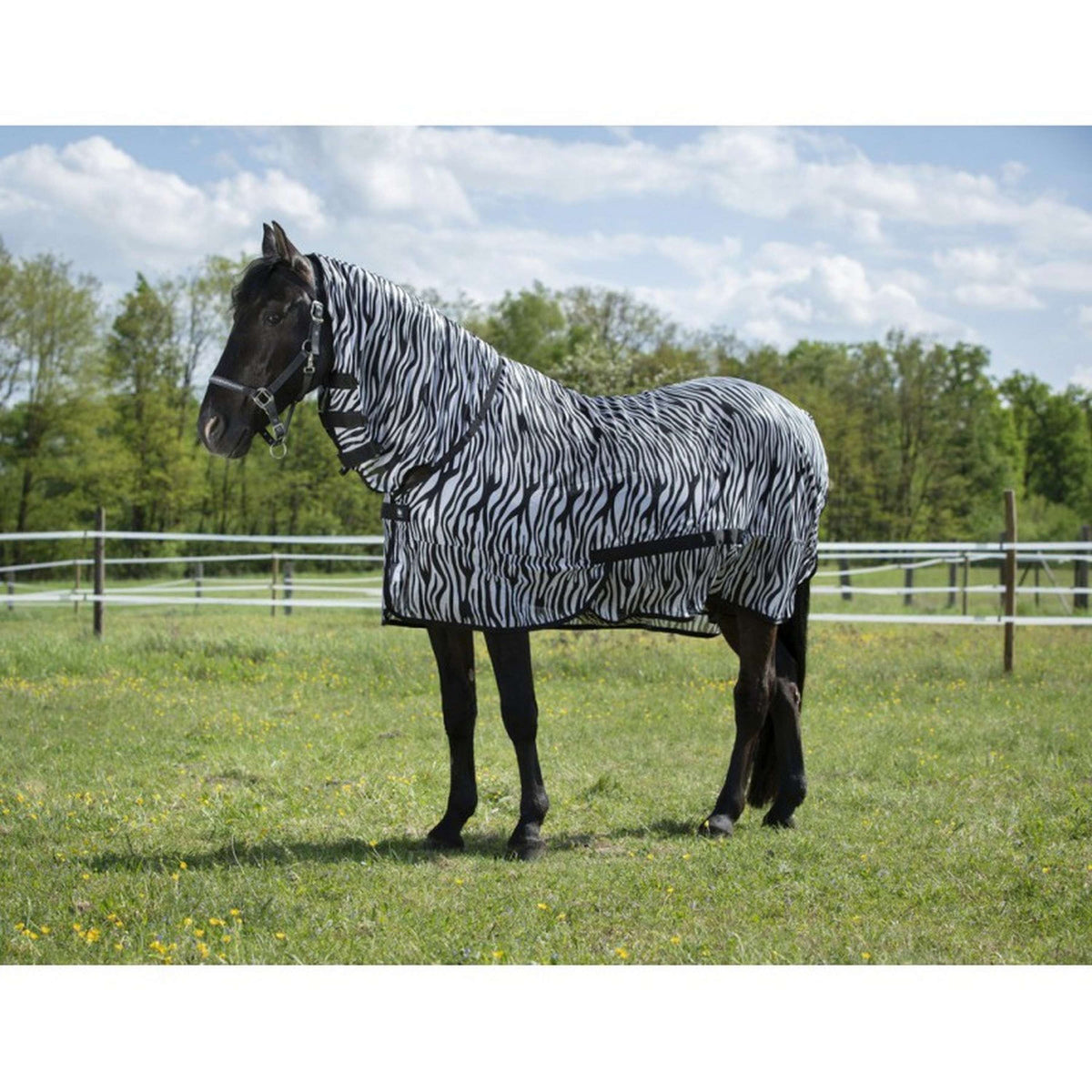 Riding World Fly Rug Combo Zebra