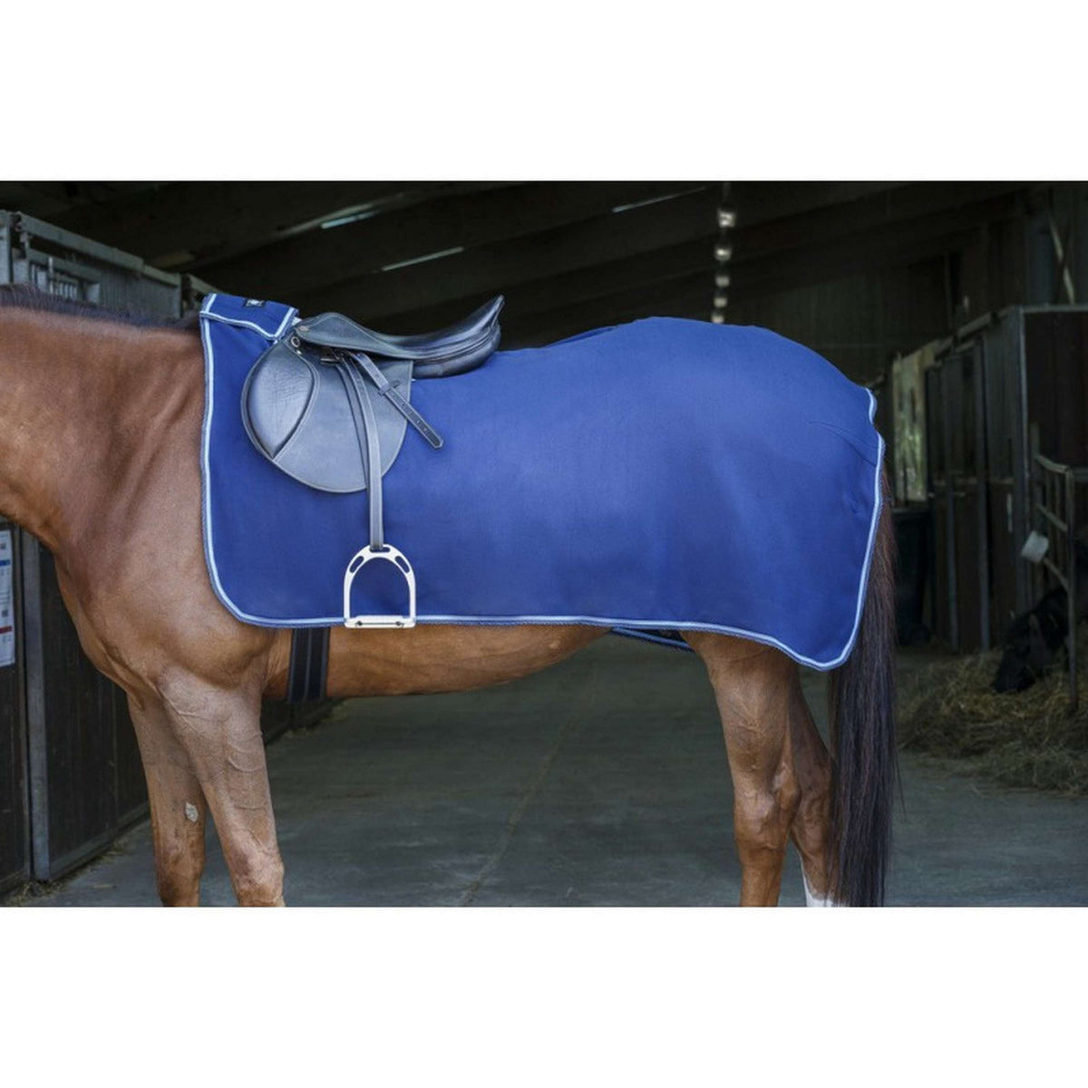 Riding World Exercise Rug Fleece Navy/LightBlue