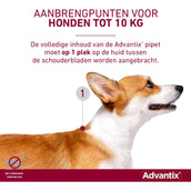 Advantix Dewormer 100/500 Spot-On Dog 4-10kg