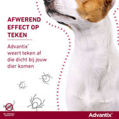 Advantix Dewormer 250/1250 Spot-On Dog 10-25kg