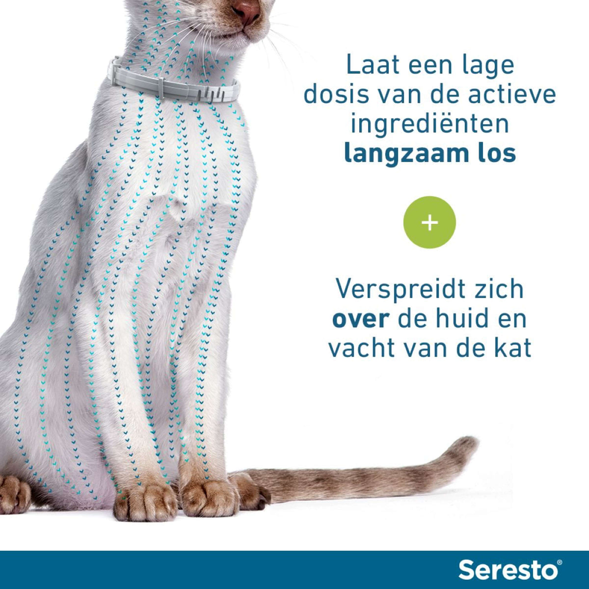 Seresto Tick and Flea Collar Cat to 8kg