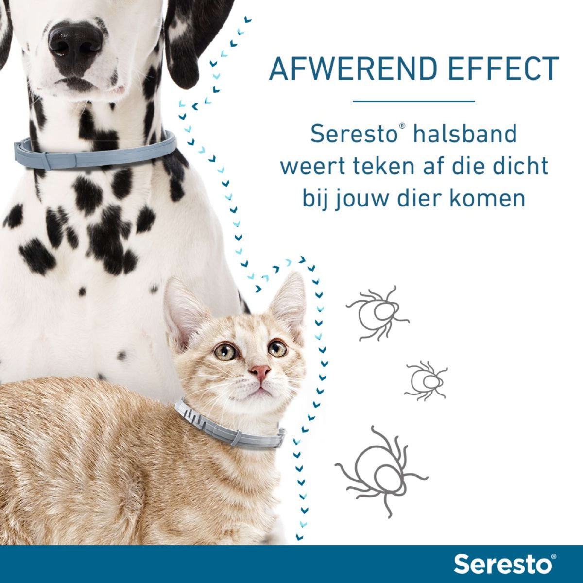 Seresto Tick and Flea Collar Large Dog from 8kg