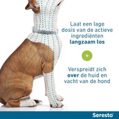 Seresto Tick and Flea Collar Small Dog max 8kg