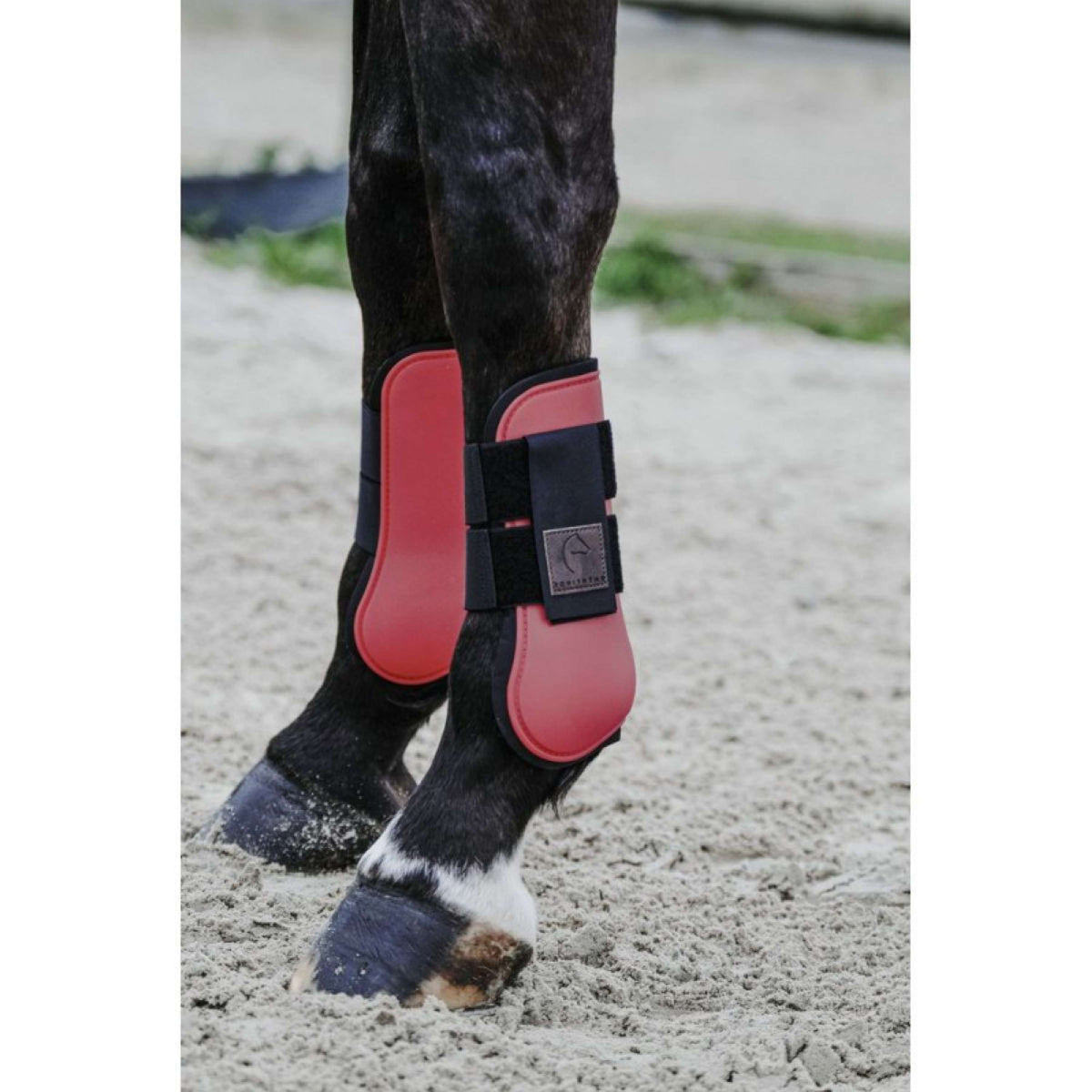 EQUITHÈME Tendon Boots Red