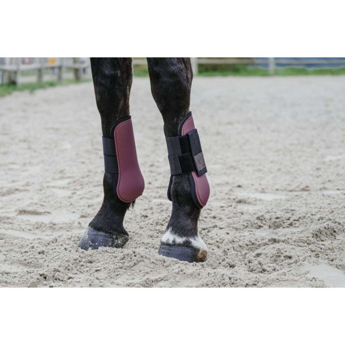 EQUITHÈME Tendon Boots Burgundy