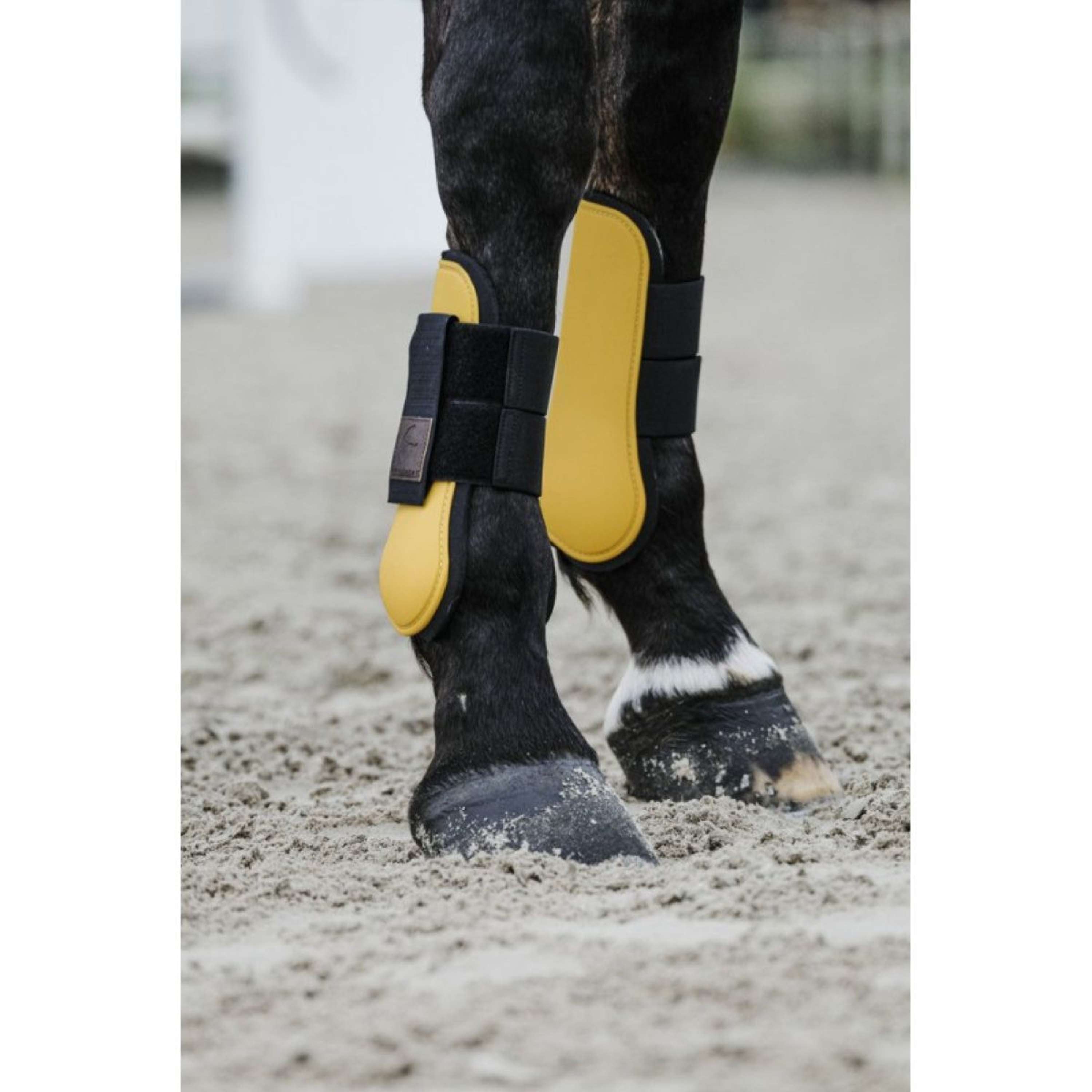 EQUITHÈME Tendon Boots Gold