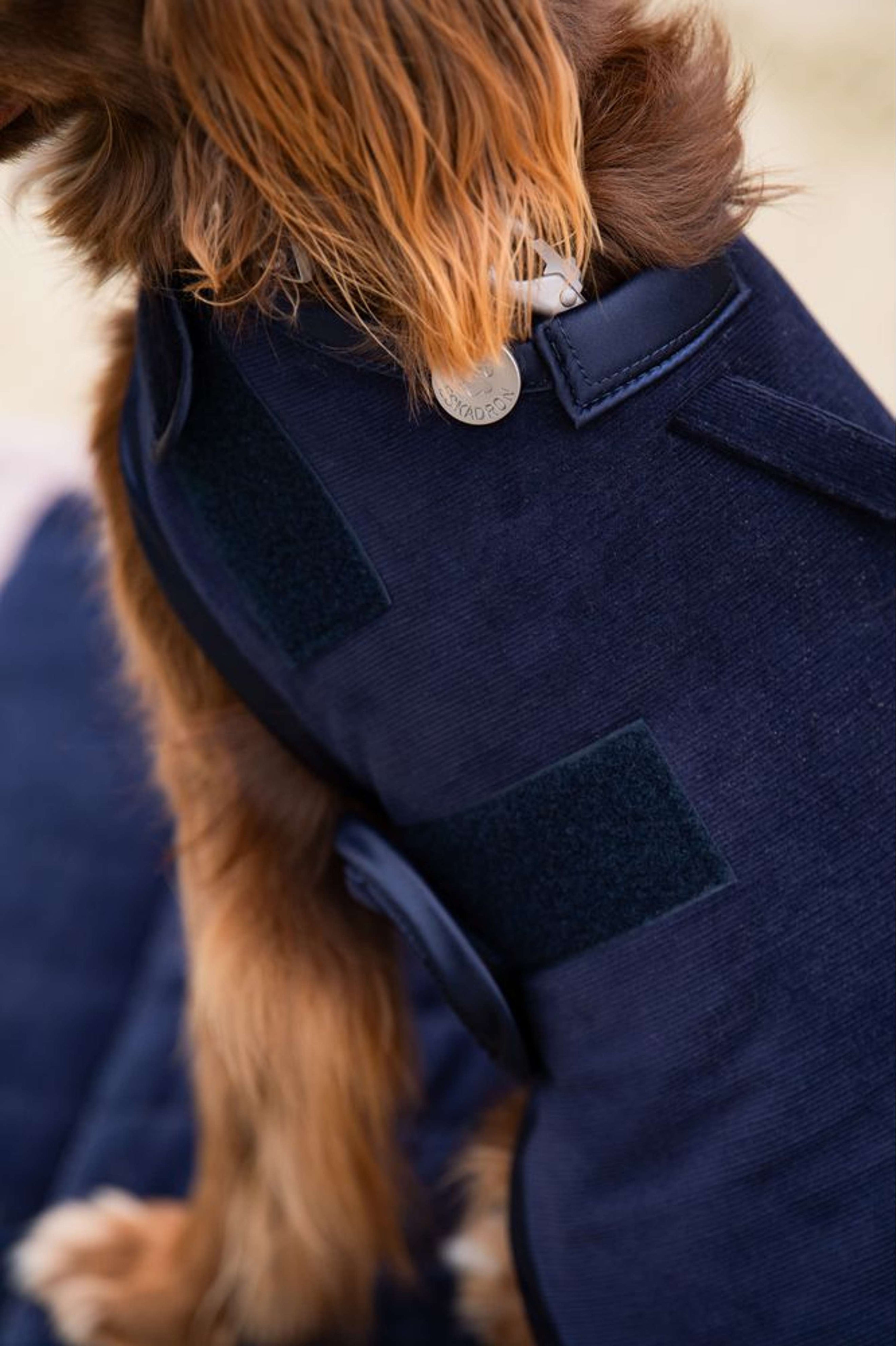 Eskadron Dog Coat Classic Sports Navy