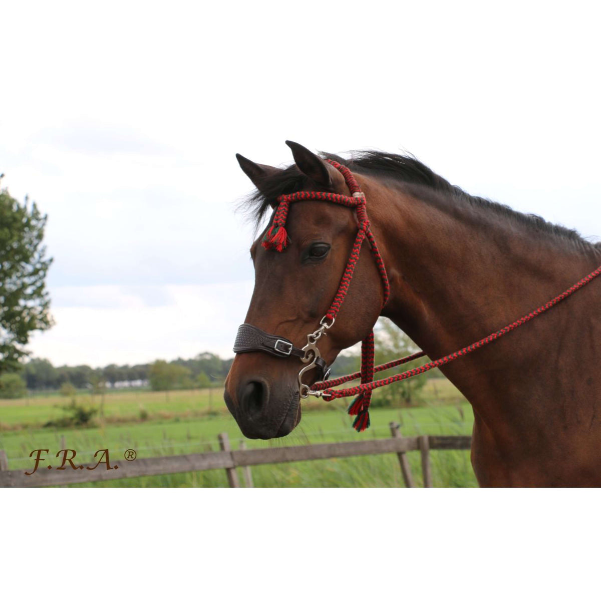 F.R.A. Classic Bridle Bodanza Cotton with Removable Reins Red/Green