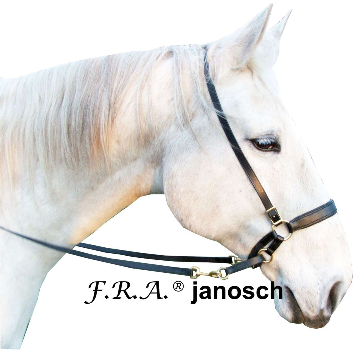 F.R.A. Bit-less Bridle Janosch Black