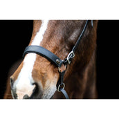 F.R.A. Bit-less Bridle Janosch Black